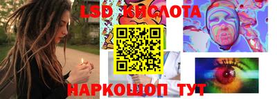 мяу мяу мука Кандалакша