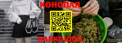 мет Камышлов